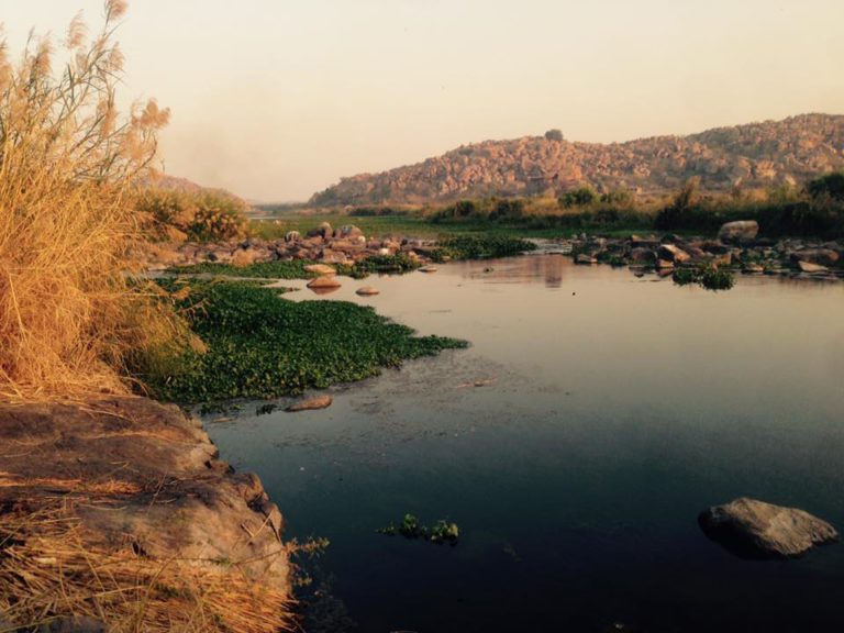 our beautiful swim spot
